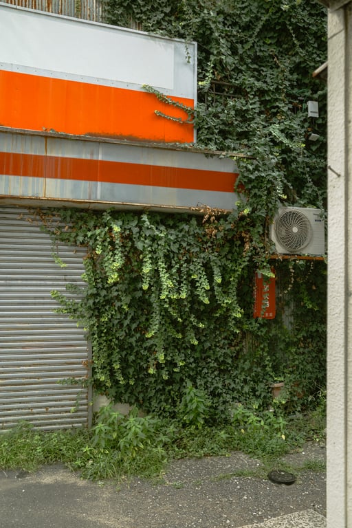 overgrowth