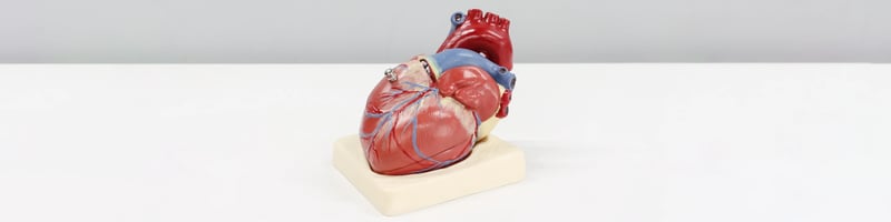 Heart Disease Detection from Voice Analysis
