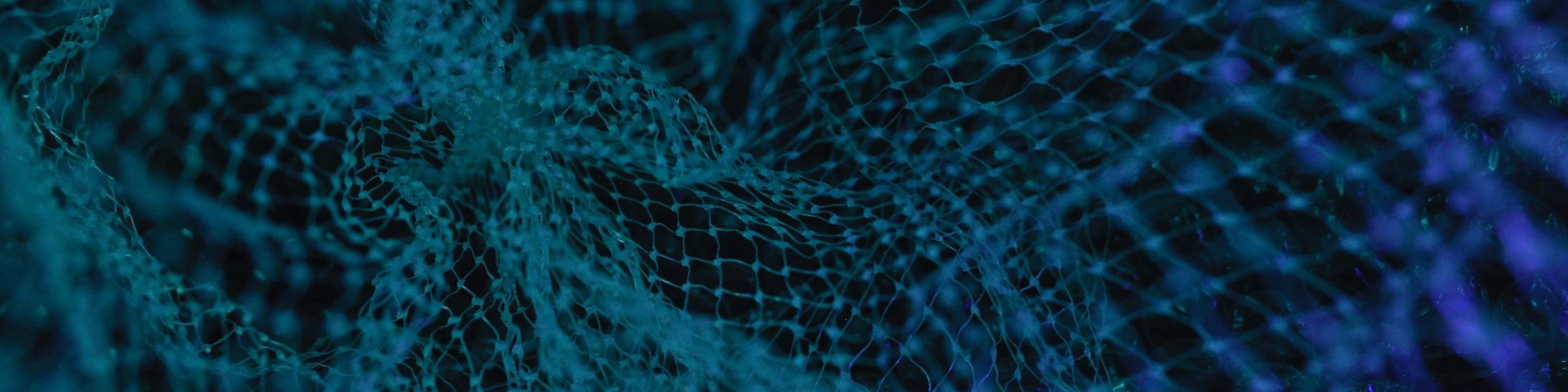 Claims Segmentation and Triage Analytics for Healthcare. Big Data in Healthcare