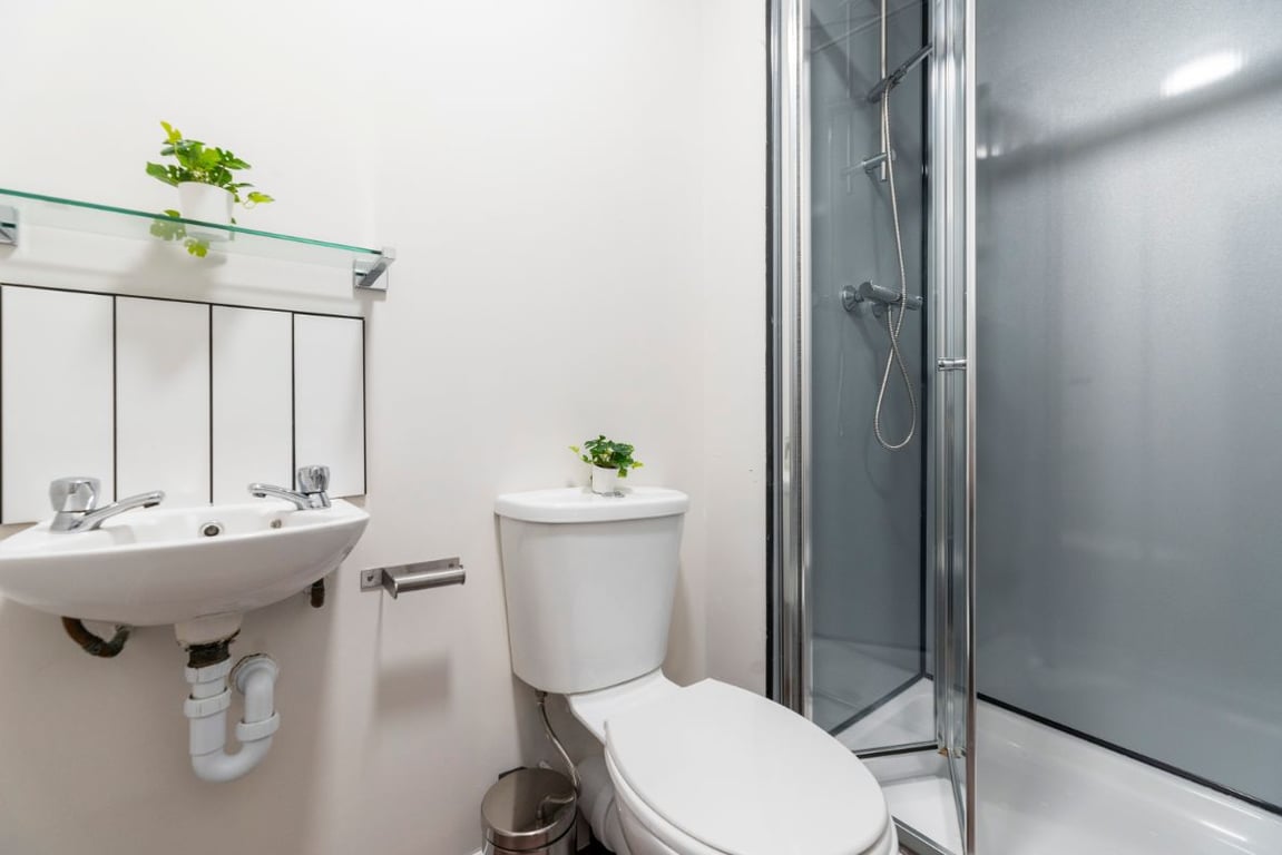 Flat 2 29 Trewhitt Road Newcastle 1 Bedroom Student Flat Student Cribs