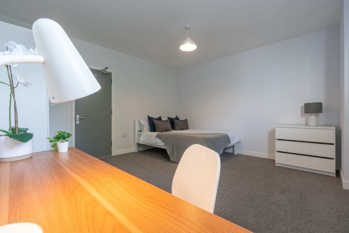 Flat D, 113 Portland Road