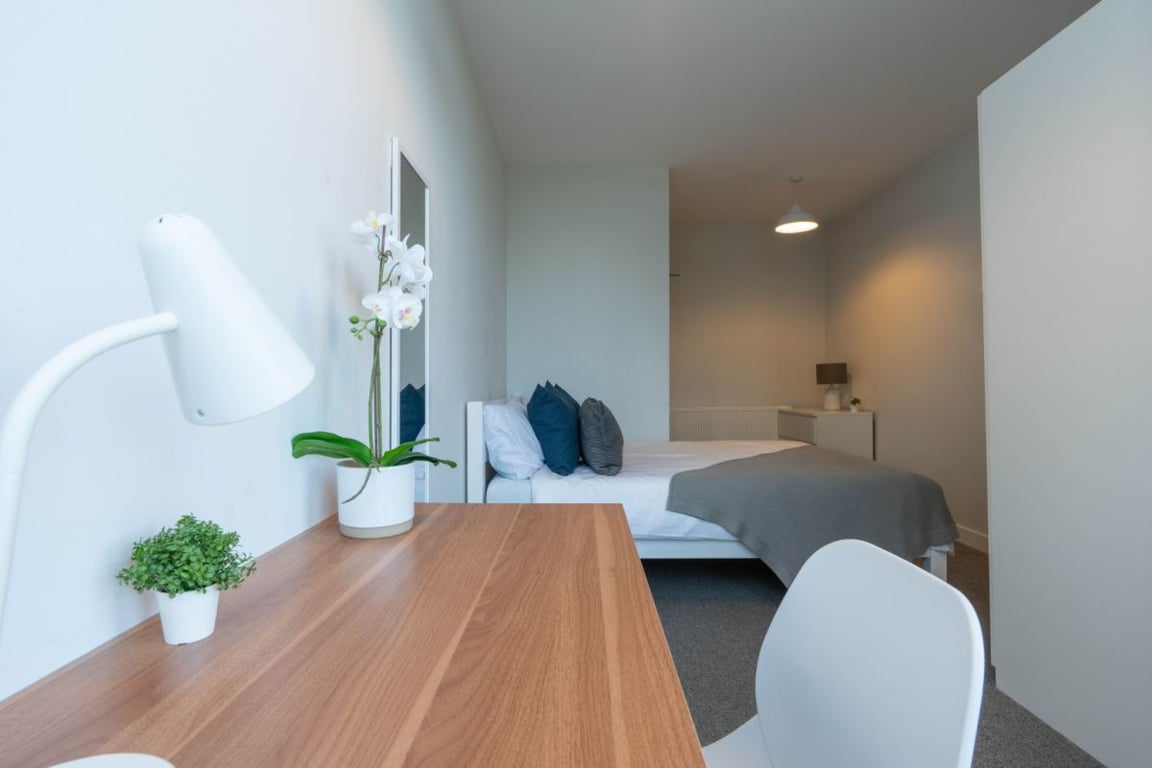 Flat D, 113 Portland Road