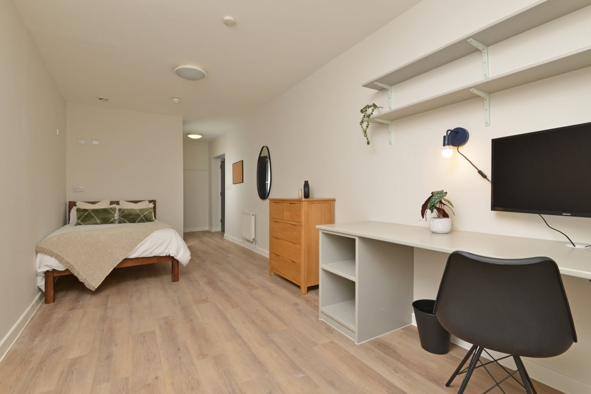 Flat 5, Isca Lofts