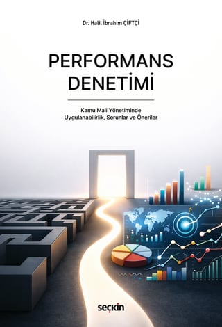 Performans Denetimi 