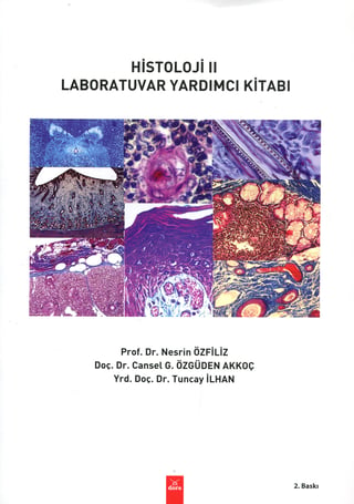 Histoloji II – Laboratuvar Yardımcı Kitabı