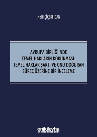 Avrupa Birliği'nde Temel Hakların Korunması