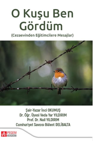 O Kuşu Ben Gördüm