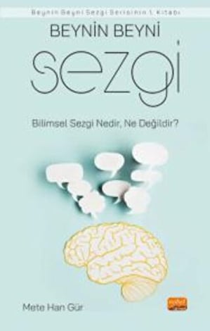 Beynin Beyni Sezgi