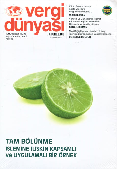 Vergi Dünyası Dergisi Temmuz 2021 Münever Yeğin 
