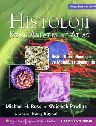 Histoloji