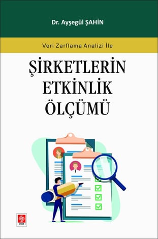 Şirketlerin Etkinlik Ölçümü