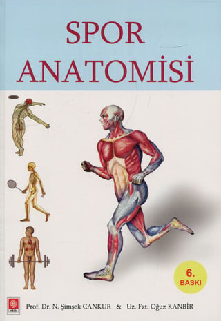 Spor Anatomisi