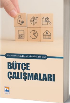 Bütçe Çalışmaları