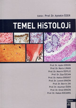 Temel Histoloji