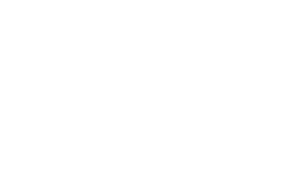 WT Advogados Especializados