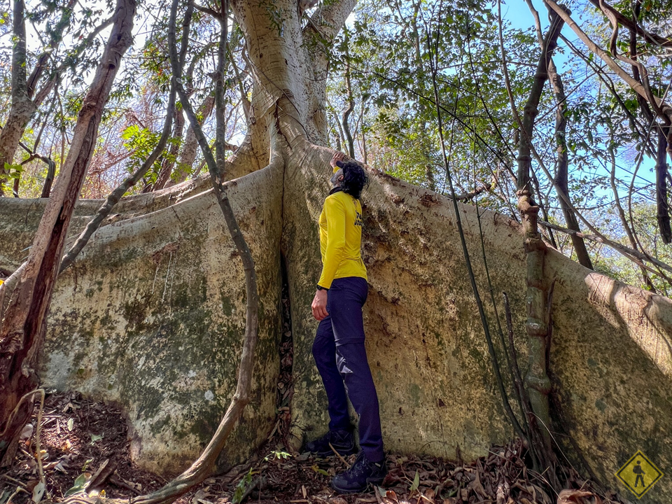 Caminhada - Roteiro Dos Bandeirantes - Itu X Pirapora Do Bom Jesus