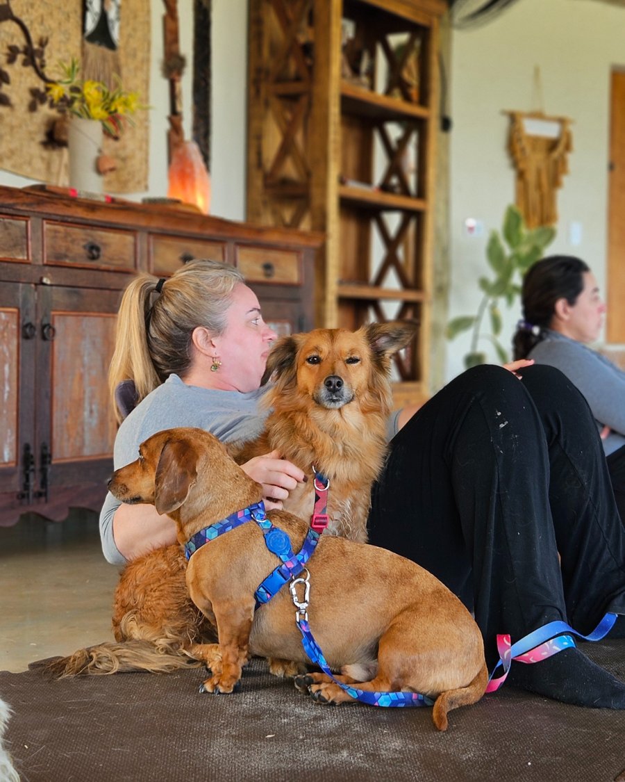 Retiro Casulo Pet Friendly