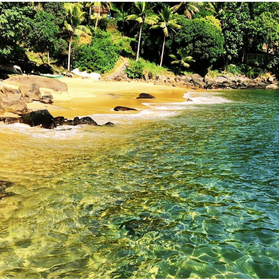 Desfrute do paraíso