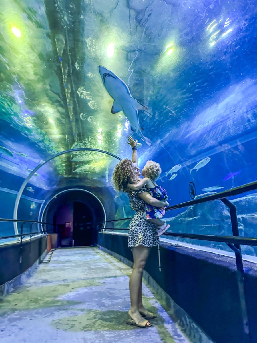 Aquario