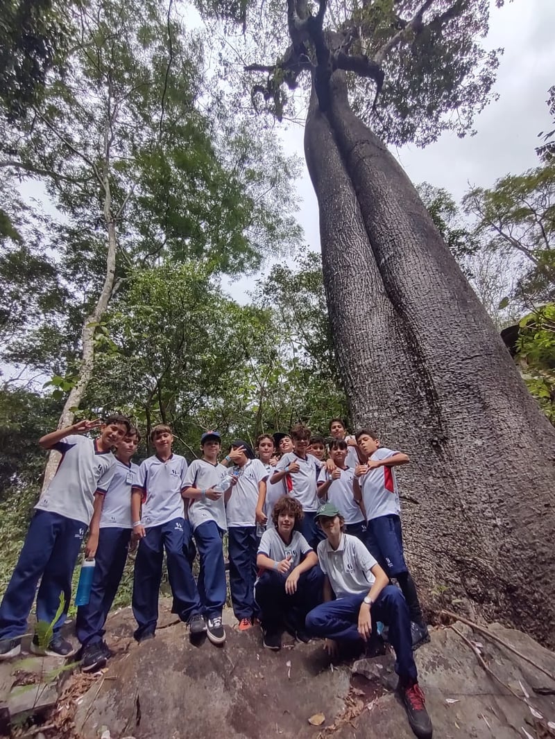 PAINEIRA GIGANTE