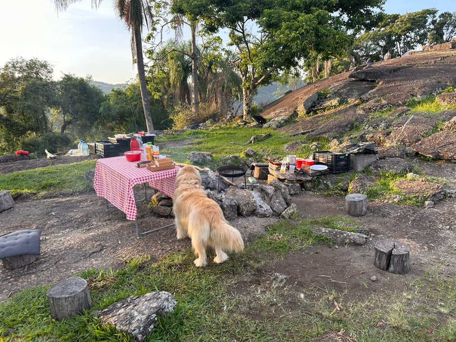 Camping de montanha pet friendly - Socorro