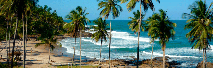 Itacaré + Tijuípe + Ilhéus