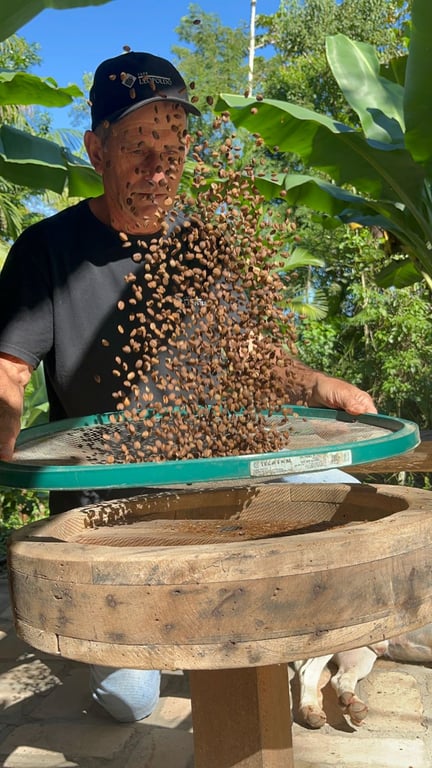 Família na fazenda