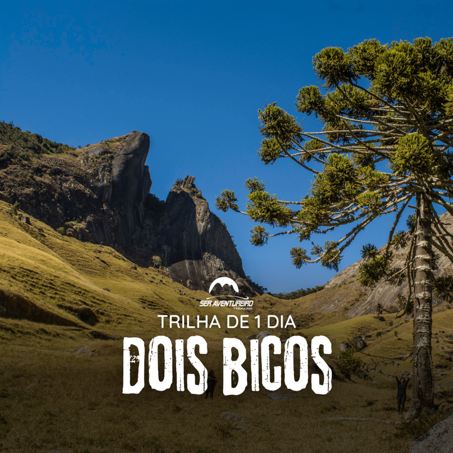 Dois Bicos