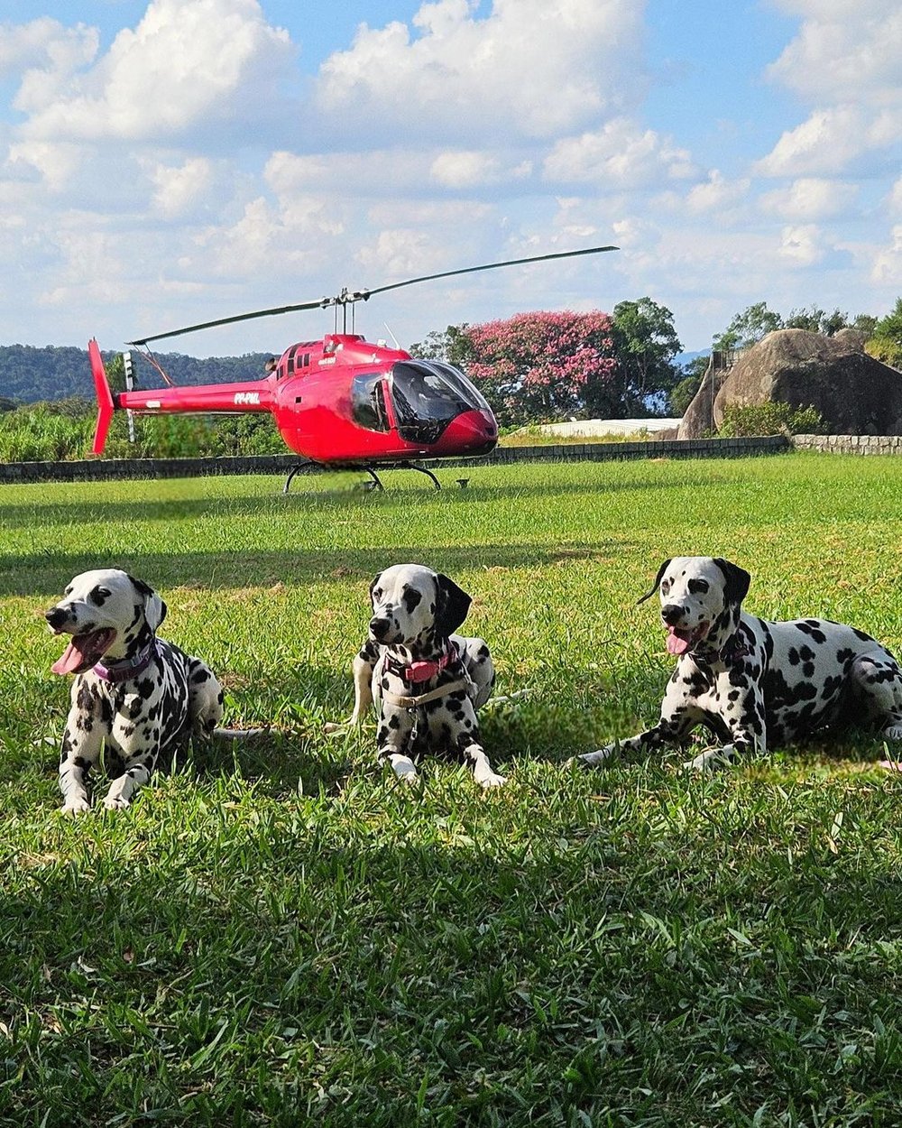 Day use pet friendly Refúgio Dinamarca Mairiporã