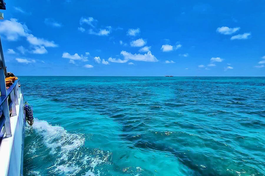 Alto Mar