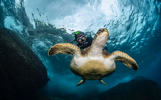 MERGULHO PARA CREDENCIADOS NA ILHA DE ÂNCORA EM BÚZIOS