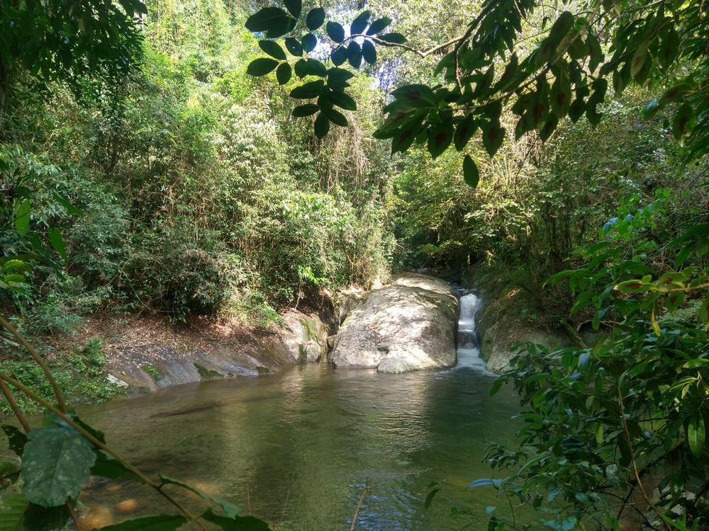 Poço da Escada - Trilha D'água Branca