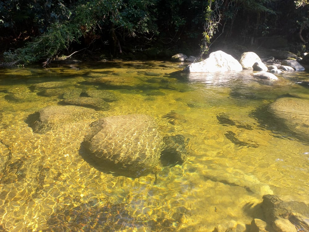 Caminhos das Trilhas Ecoturismo