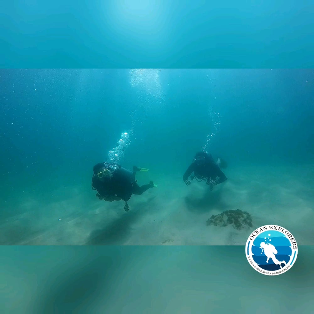 PROGRAMA Discover Scuba Diver -Praia do Cedro.