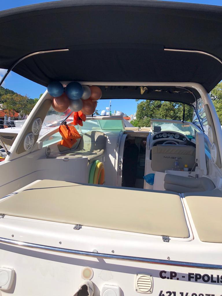 Roteiro Sul │Magna 310 L │11 Pessoas 