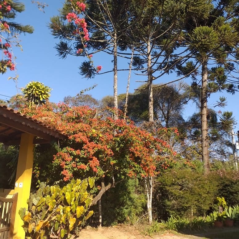 30/04 Nas montanhas de Extrema com café da manhã