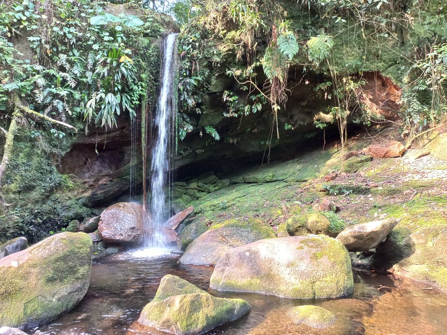 Cachoeira da Agua Branca