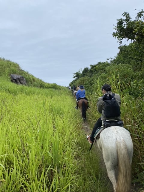 PASSEIO A CAVALO NA PRAIA EM BÚZIOS