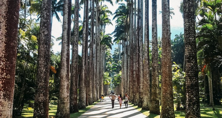 RIO ECOLÓGICO: Jardim Botânico + Parque Laje