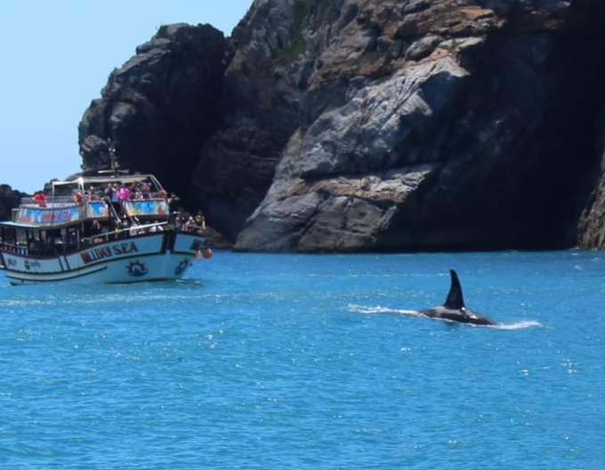 Passeio de Escuna Arraial do Cabo 