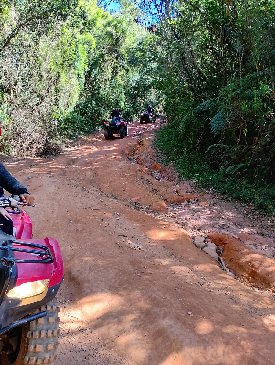 Trilha do Bosque 