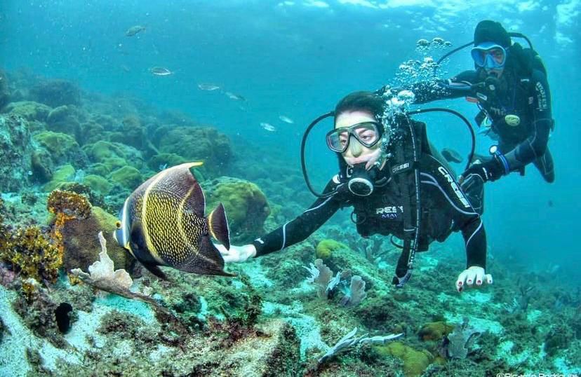 Mergulho de Cilindro Arraial do Cabo | Super Flor