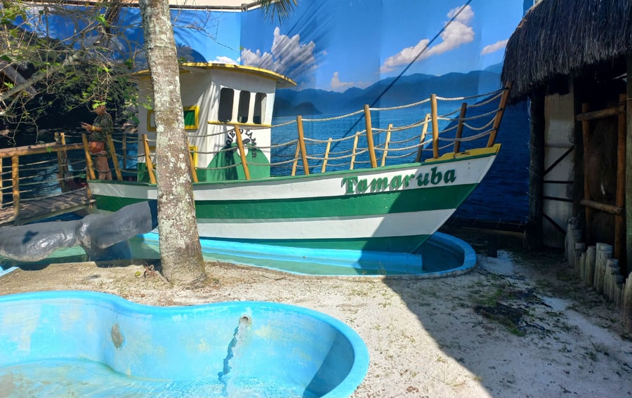 Roteiro Eco-Marinho em Ubatuba: Descubra o Mundo Marinho
