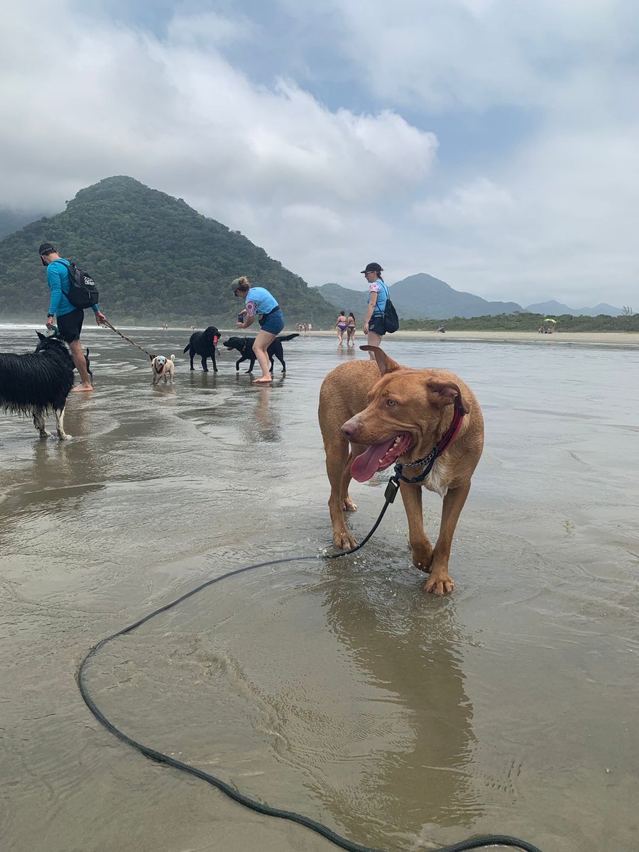 Aventura na praia Peruíbe pet friendly trilha, barco, pousada 