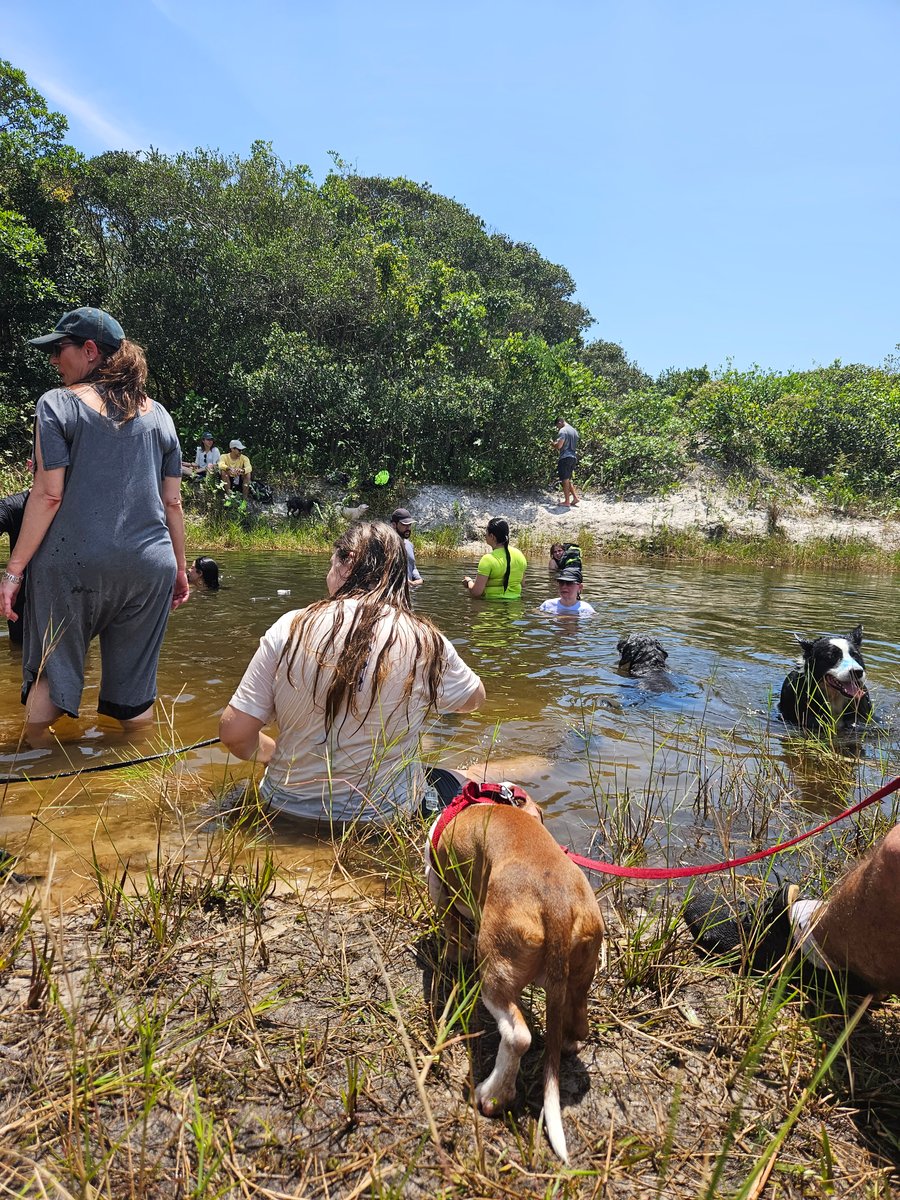 Aventura na praia Peruíbe pet friendly trilha, barco, pousada 