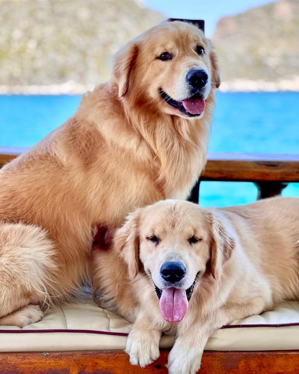 Marujo e Marujinho, mascotes da Don Juan Tour