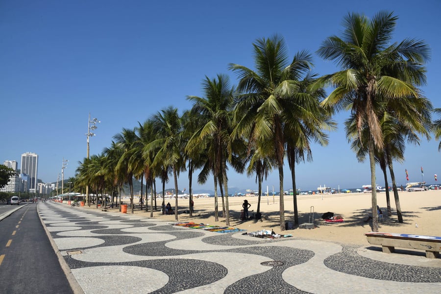Palmeiras no Calçadão de Copacabana 