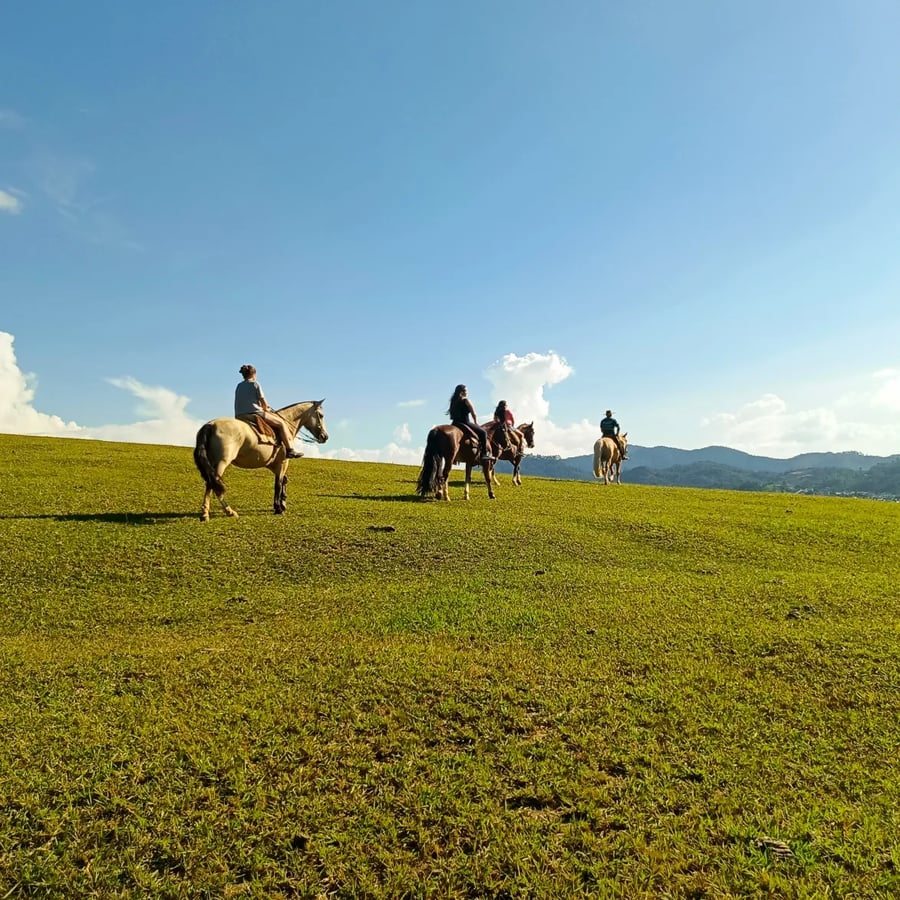 Amanhecer no passeio a cavalo 