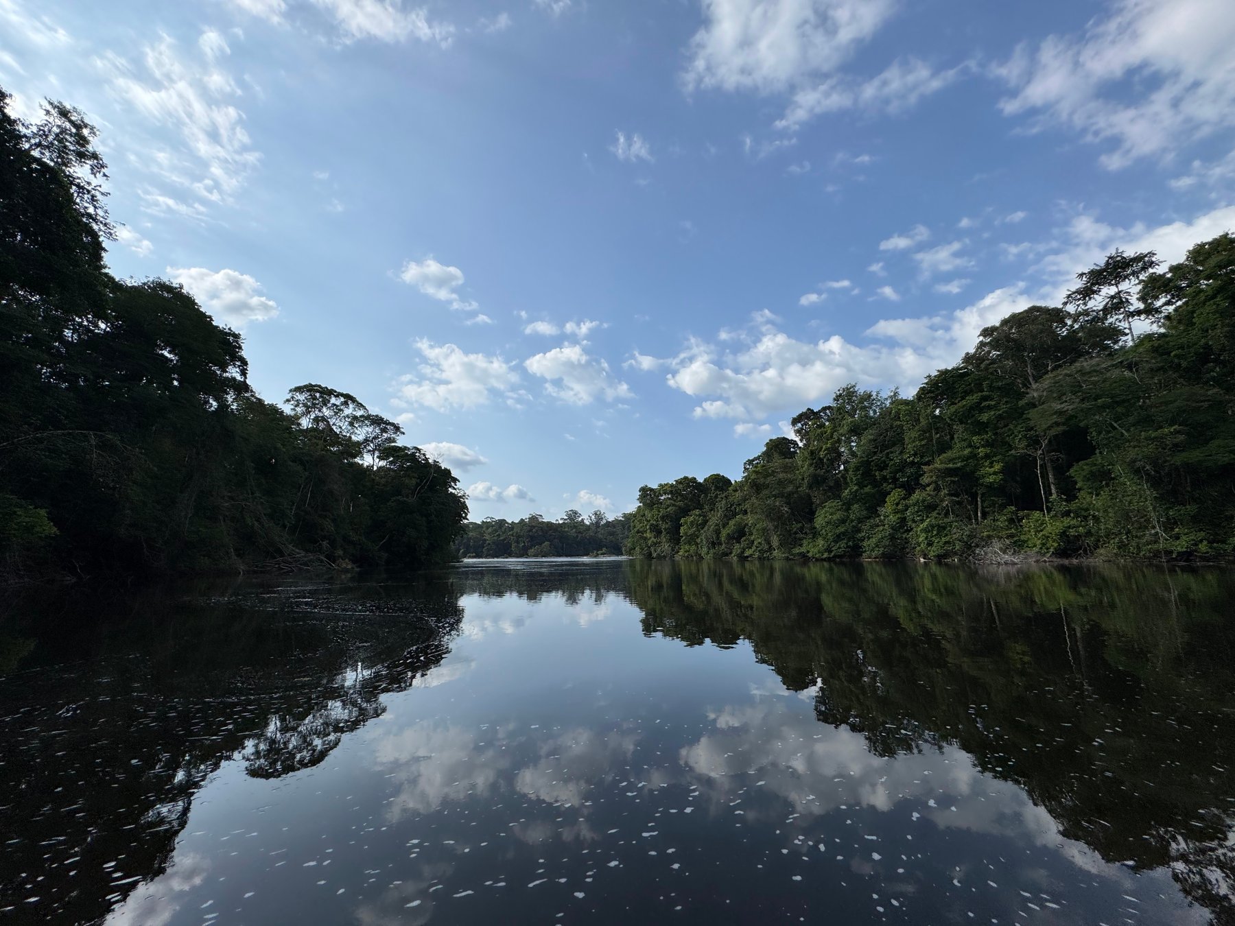 Viva Essa Experiência