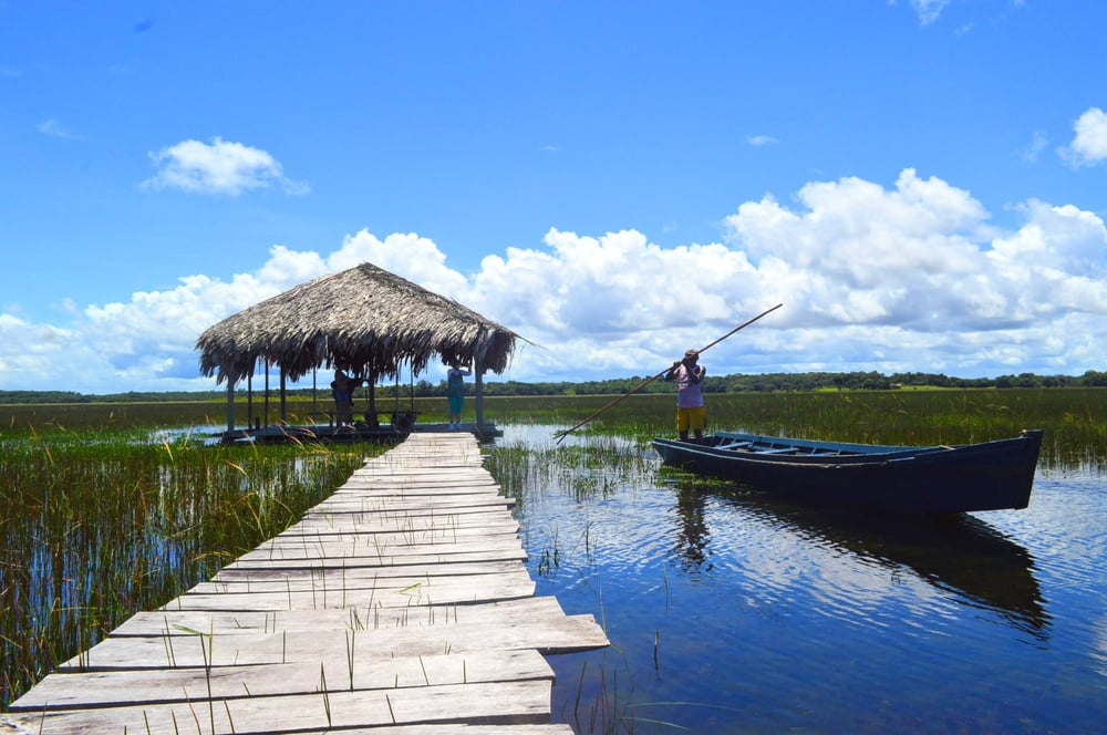 Seu Eduardo. Condutor do passeio de Canoa na APA do Curiaú (Foto: Victor Hugo).